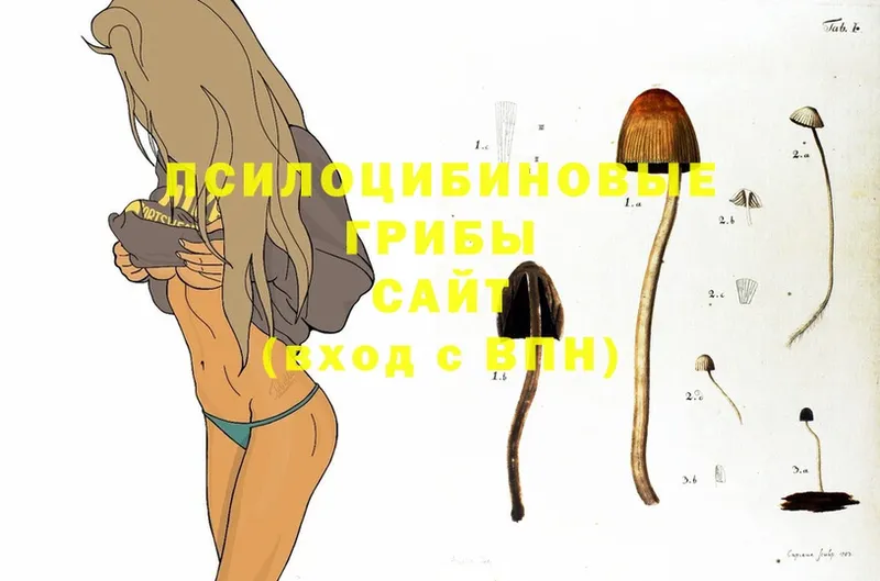 наркотики  Искитим  Псилоцибиновые грибы MAGIC MUSHROOMS 